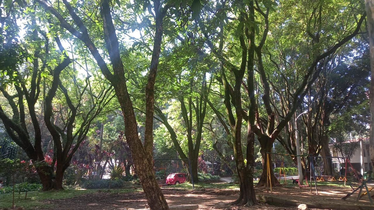 Apartamento en venta en Laureles Medellín